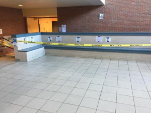 Photograph by Abby Lass